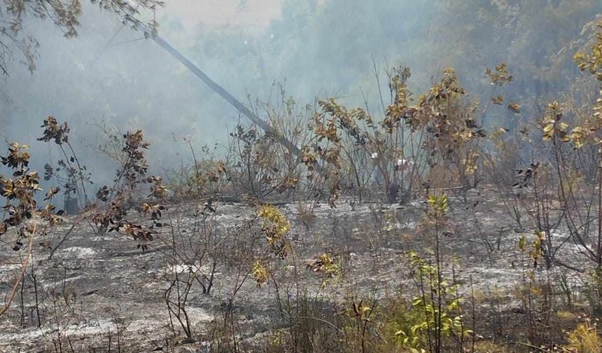 Orman yangını için ekipler teyakkuza geçti