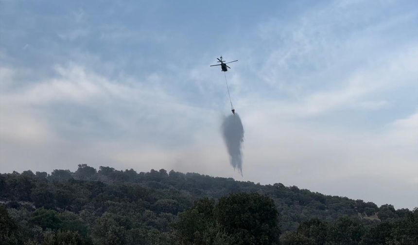 DİYARBAKIR - Lice ve Dicle'de çıkan orman yangınları kontrol altına alındı