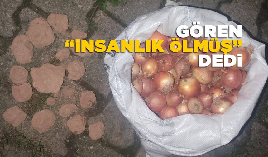 Soğan çuvalından çıkanlar şoke etti