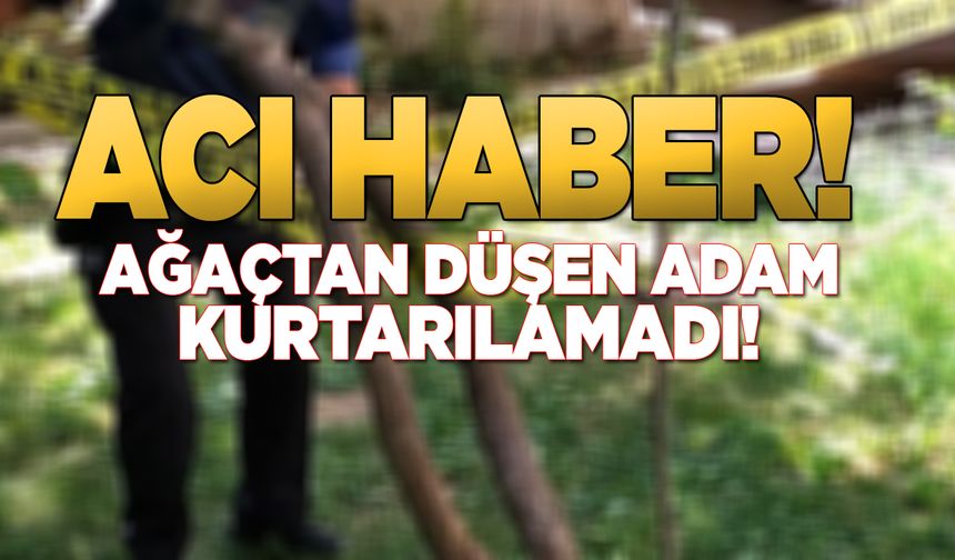 Armut ağacından düşen kişi öldü