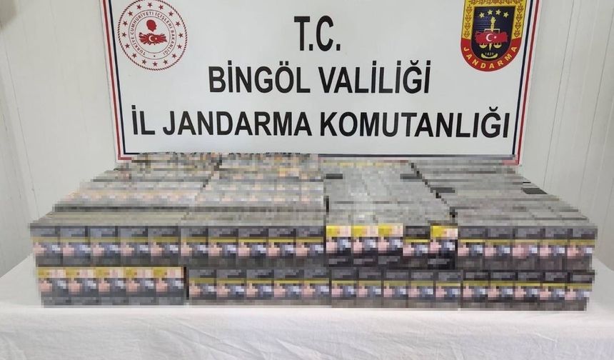 Bingöl’de kaçak kazı yapan 2 kişi yakalandı