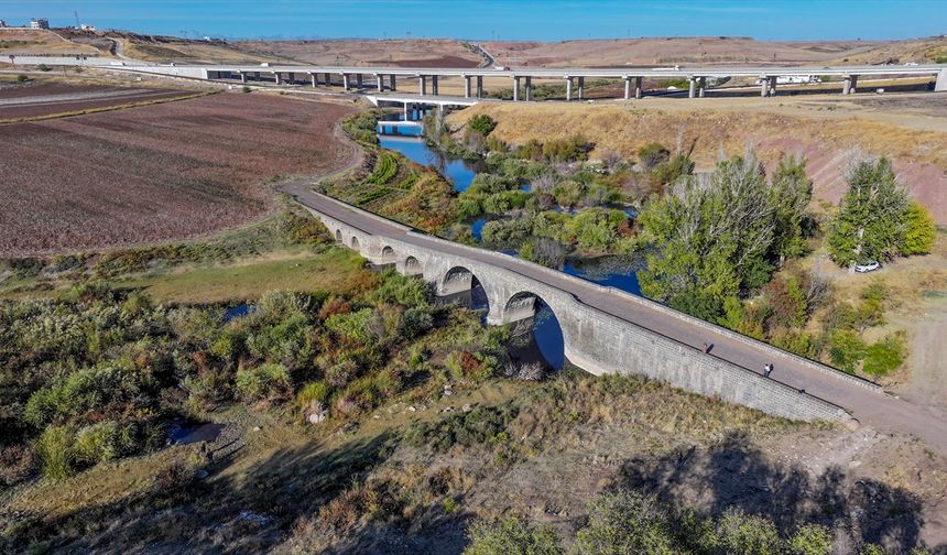 DİYARBAKIR -  Bir derede balıkların suyun yüzeyine çıkmasıyla ilgili inceleme başlatıldı