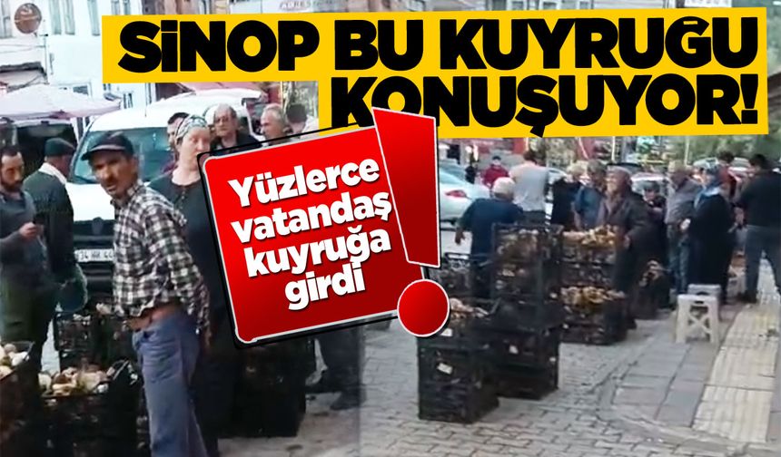 Banka kuyruğu değil, Mantar kuyruğu!