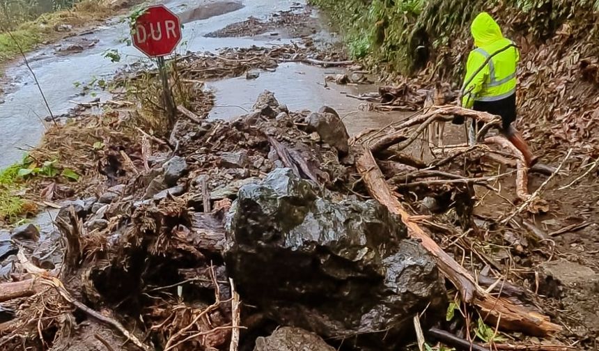 Sağanak yağış nedeniyle 21 köy yolunda heyelan oldu