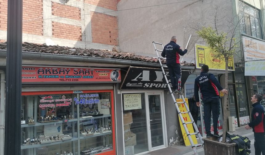 Tokat'ta çatıya konan bitkin haldeki akbaba sağlık kontrollerinin ardından doğaya salınacak