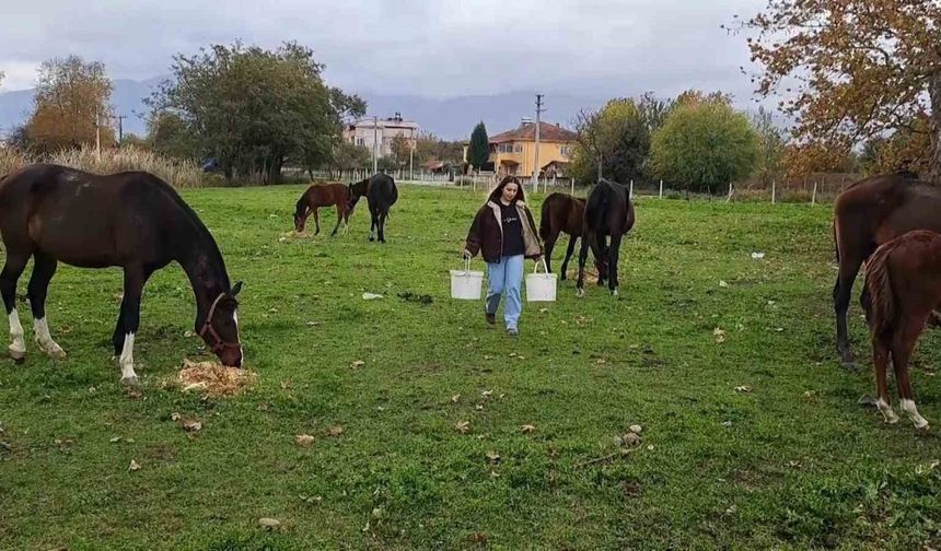 At sevgisiyle başlayan hobi hipodromda devam ediyor: Kurduğu tesiste yarış atı üretiyor