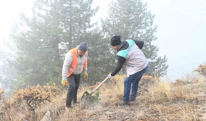 Isparta Belediyesi Gölcük Tabiat Parkı’nda fidanlar toprakla buluşturuldu