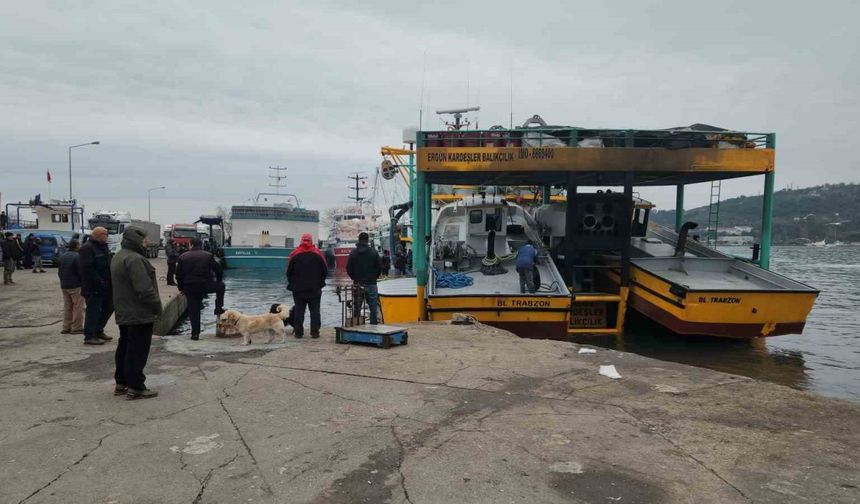 Karadeniz Ereğli Limanı’nda hamsi yoğunluğu