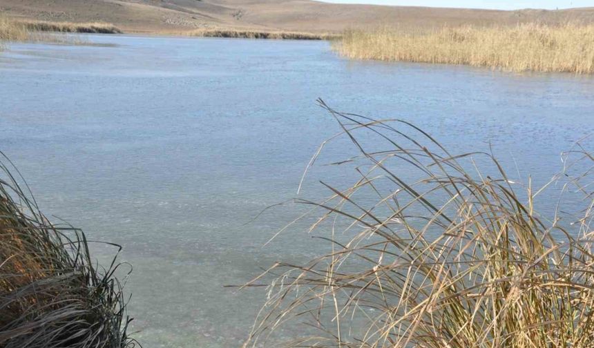 Kars’ta soğuktan Lavaş Gölü dondu