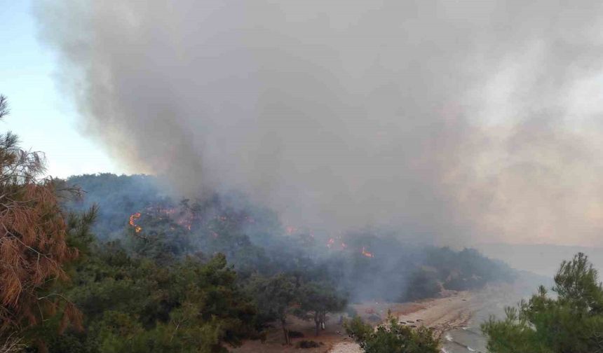 Keşan’da ormanlık alanda çıkan yangın kontrol altına alındı