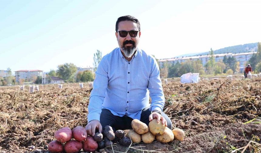 Sivas’ta renkli hasat başladı