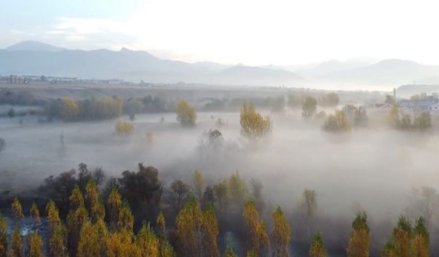 Tunceli’de ’sis’ şöleni