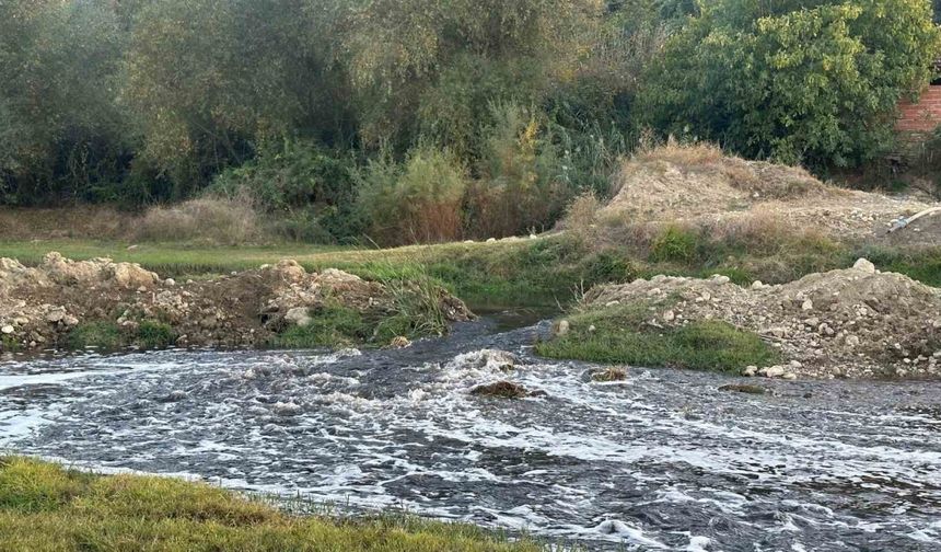 Uşak OSB’den bırakılan atıkların Gediz Nehri’nde kirlilik ve balık ölümlerine neden olduğu iddia edildi