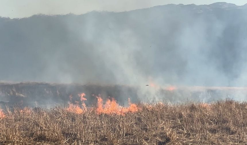 Yüksekova’da onlarca kuş türünün yaşadığı Nehil Sazlığı  yanıyor