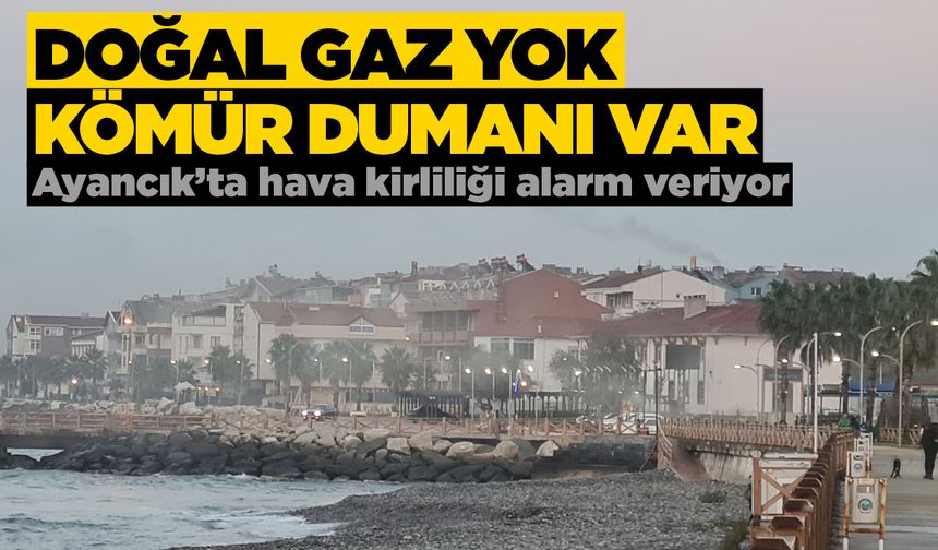 Doğal gaz gecikiyor, Ayancık soluksuz kalıyor