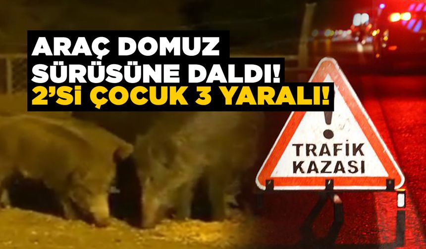 Domuz sürüsüne çarpan araç devrildi