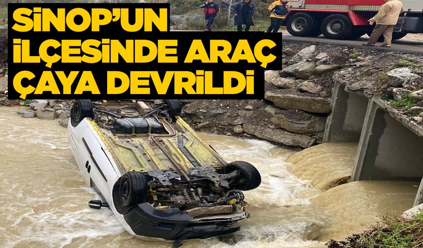 Hafif ticari araç çaya devrildi