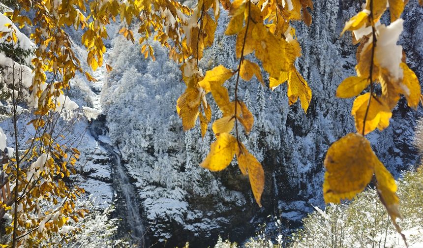 Ilgaz Dağı'na kış geldi. Mevsimin ilk karı yağdı!