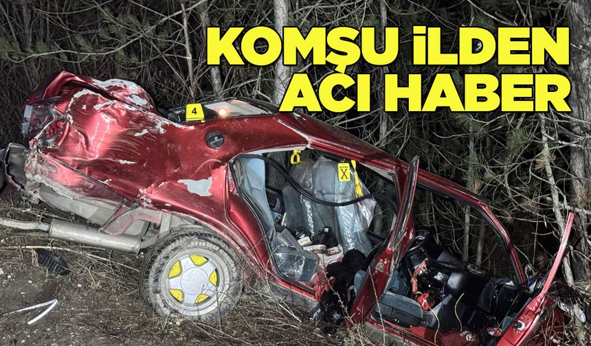 Ağaçlara çarpan otomobildeki 1 kişi öldü