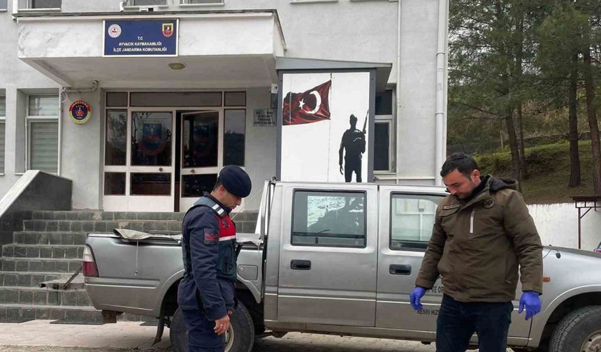 Jandarma yaralı karacaya kucak açtı