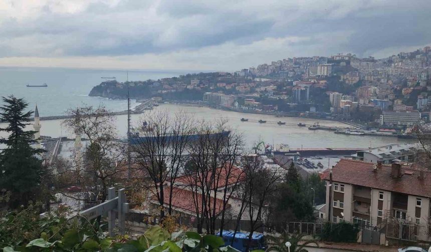 Zonguldak Limanı sarıya boyandı