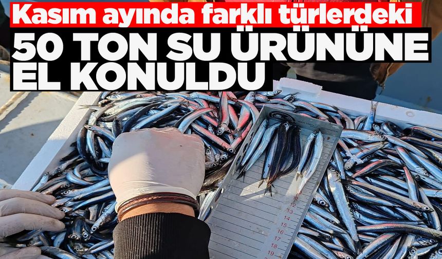 Sinop'ta farklı türlerdeki tonlarca su ürününe el konuldu