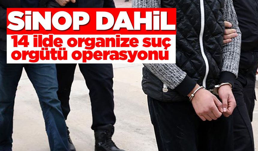 Organize suç örgütü operasyonunda 24 kişi tutuklandı