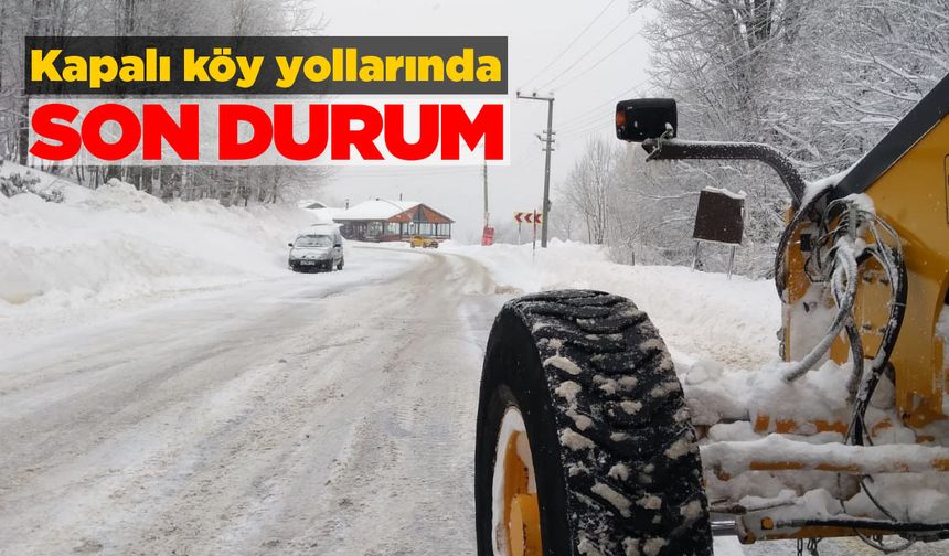 Sinop genelinde kapalı köy yolu sayısı açıklandı