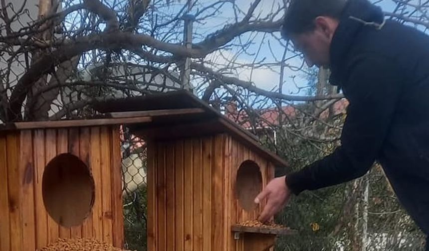 Gerze’de sokak hayvanları için örnek çalışma