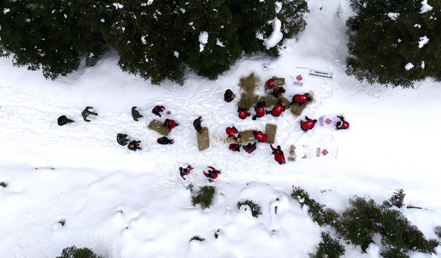 Kastamonu'da yaban hayvanları için yem bıraktılar