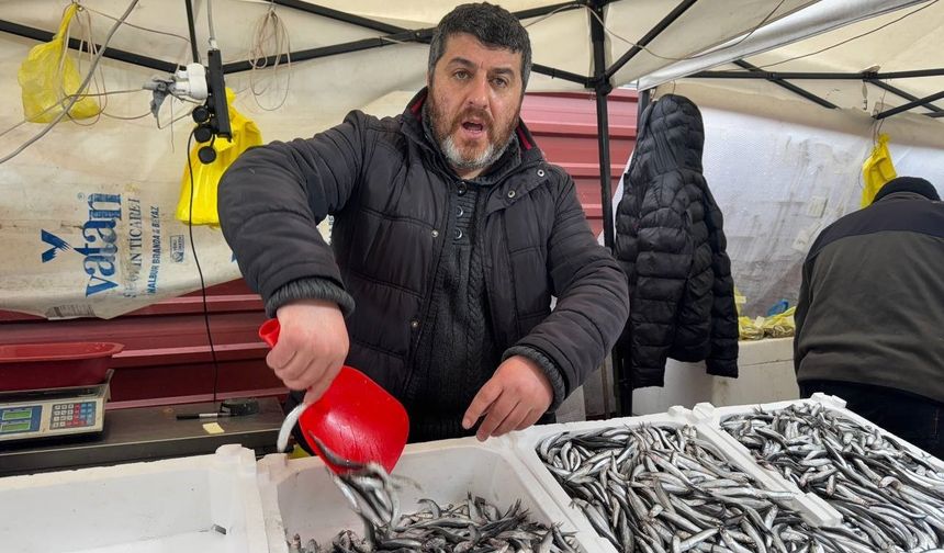 Zonguldak’ta hamsisi 100 liradan satıldı