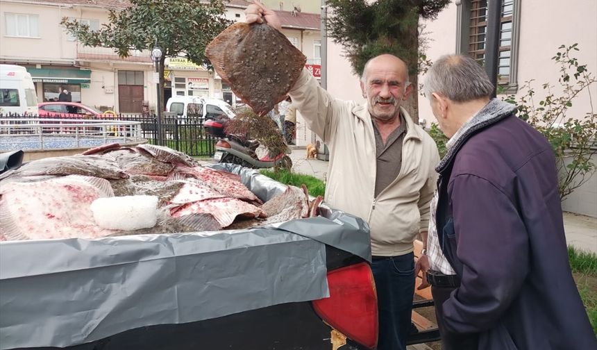 Sinop'ta kaçak avlanan kalkan balıkları vatandaşlara dağıtıldı