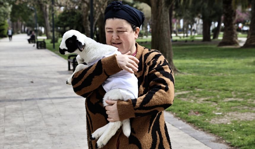 Sinop’ta minik kuzu "Pamuk", ailenin yeni üyesi oldu