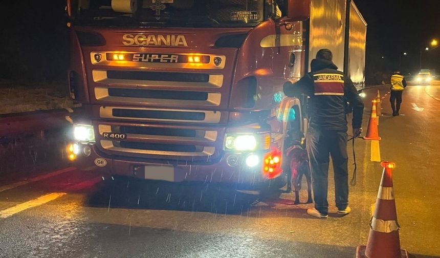 Tır dorsesinde yurt dışına kaçmaya çalışanlar yakalandı