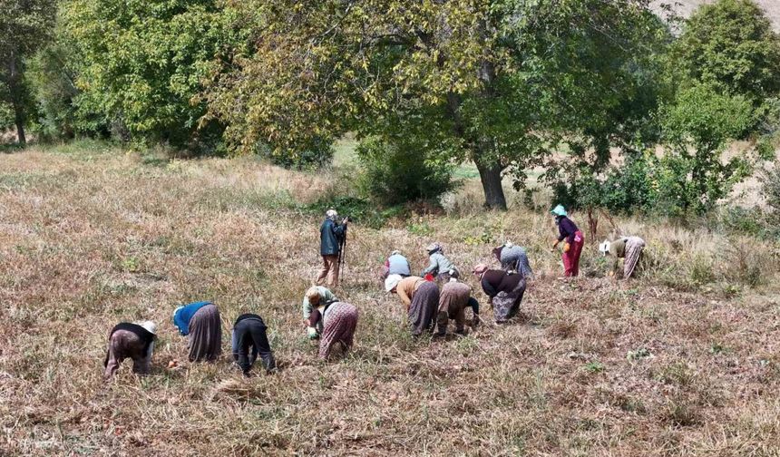 Çiftçilere destek ödemesi başlıyor