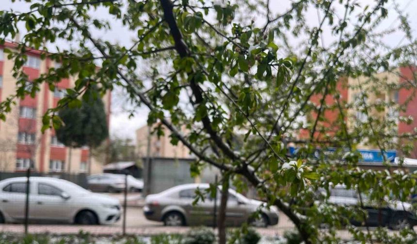 Eskişehir’in yüksek kesimleri kara teslim oldu