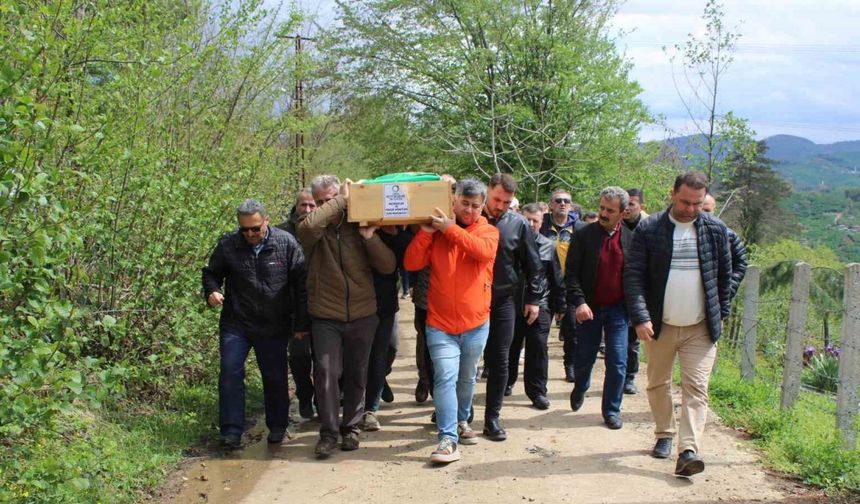 Samsun'daki kazada ölen aynı aileden üç kişi toprağa verildi