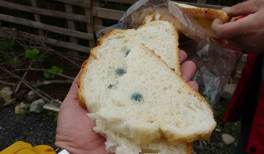 Satın aldığı ekmek küflü ve çift etiketli çıktı
