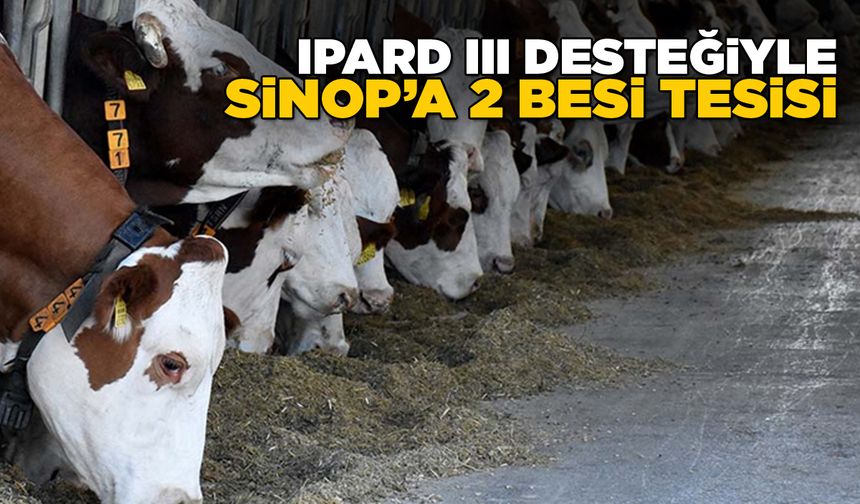 Sinop’a 2 yeni besi tesisi kurulacak!
