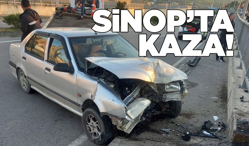 Yola atlayan köpek kazaya neden oldu