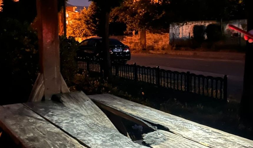 Parktaki kamelyalara zarar verildi