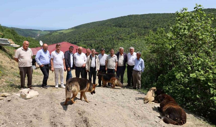 Samsun'da muhtar ve mahalleliden izinsiz oluşturulan köpek barınağına tepki