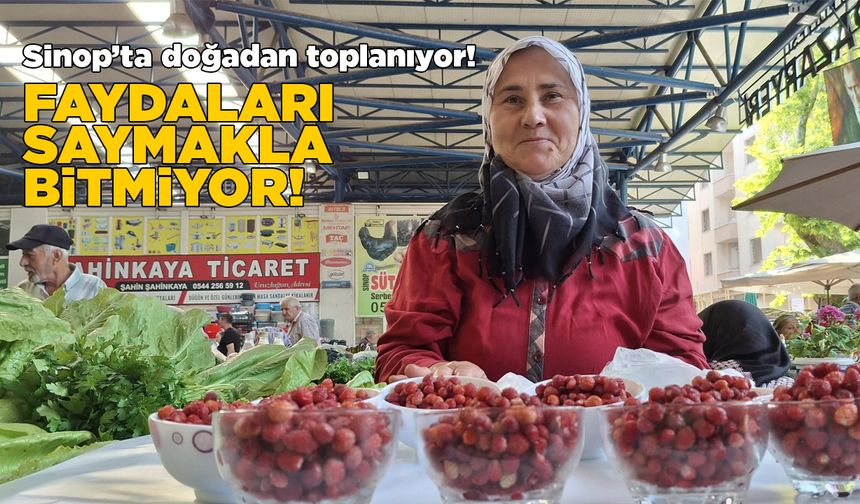 Dağ çileği tezgahlarda yerini aldı