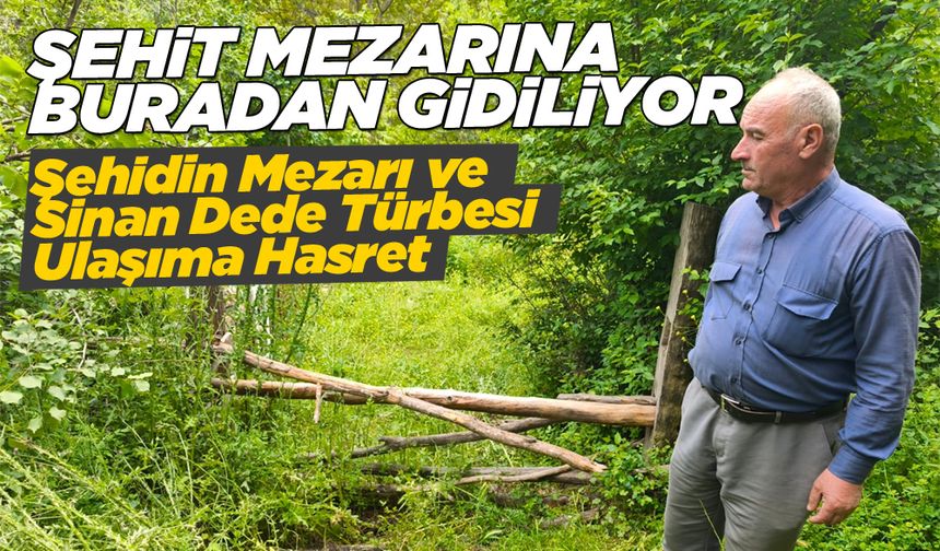 Ne levha var ne yol: Şehide giden yol unutuldu!