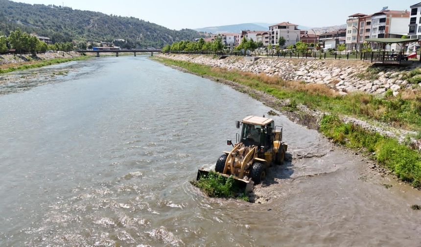 Yeşilırmak temizleniyor