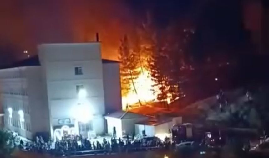 Havai fişek yangına neden oldu
