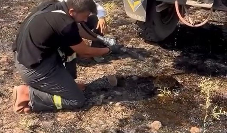Yangından etkilenen kirpiye yardım eli