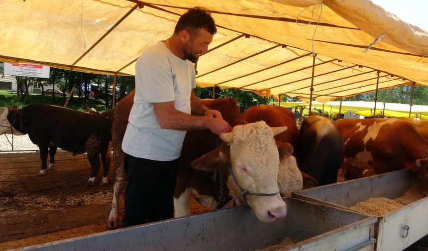 81 ildeki tüm hayvan pazarları kapatıldı