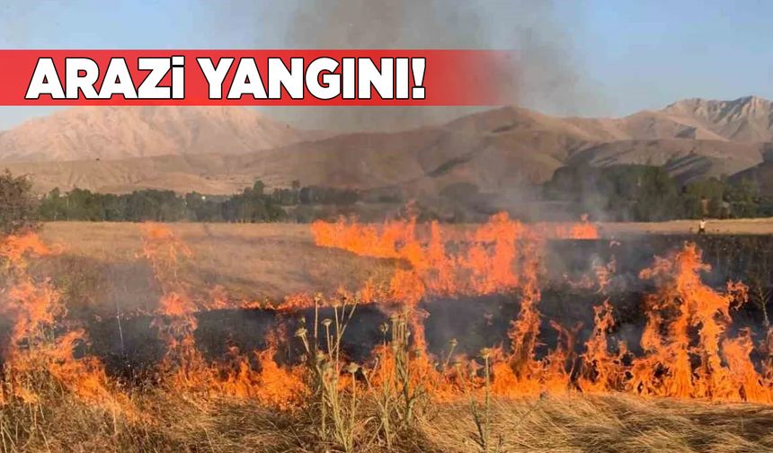 Arazide çıkan yangın ekipleri harekete geçirdi