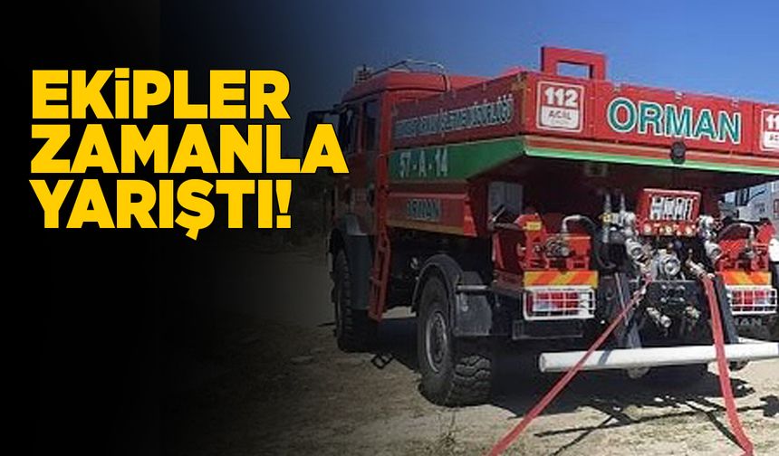 Yangının ağaçlara sıçramaması için yoğun mücadele